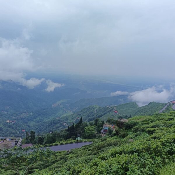 Majestic Darjeeling